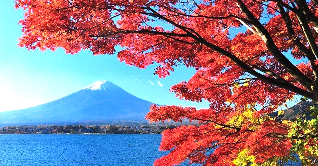 紅葉のみごろを迎えた山梨･箱根･伊豆の体験できるアクティビティ情報