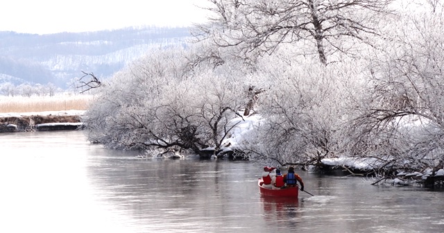 【PickUP】冬の釧路湿原を貸切カヌーで巡る幻想的ツアーをご紹介！！