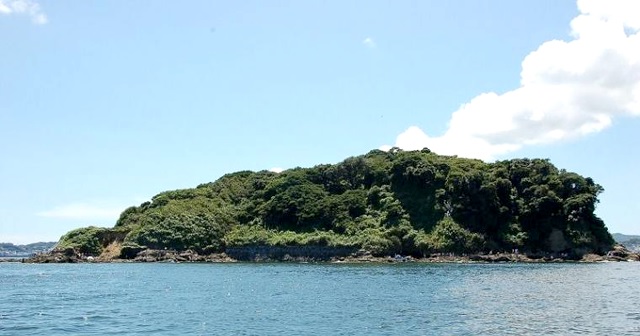 冬季平日限定！東京湾に浮かぶ無人島『猿島（さるしま）』を貸切にできる！！