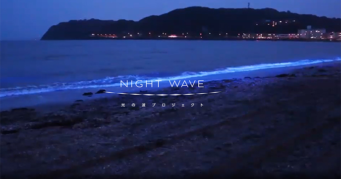 今年も開催！逗子葉山エリアで夜の海を楽しむ『NIGHT WAVE～光の波プロジェクト～』！！