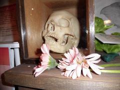 山口敏太郎の妖怪博物館「本物の人骨を用いた標本」の事実が明らかに!?