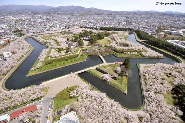 北海道新幹線で人気が集まる桜の名所が1位に！　国内の春の絶景ランキング