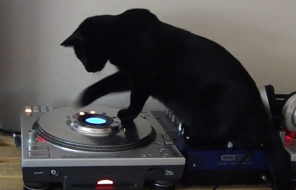DJ黒猫本気のプレイ、デジタルタンテのピッチも変える