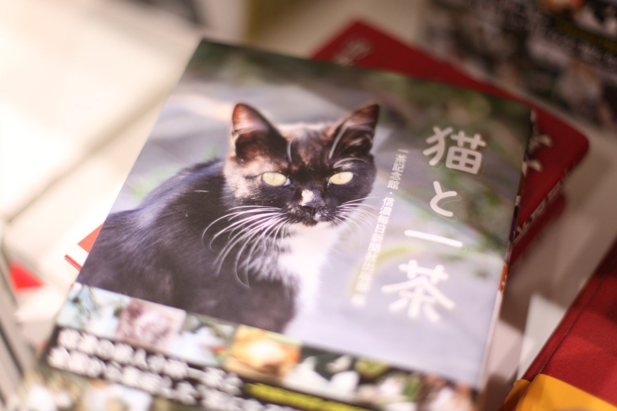 週末の猫本探しに有明へ。東京国際ブックフェアが25日まで開催