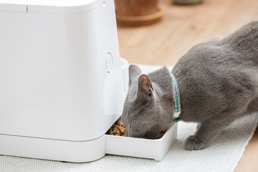 国産の猫ご飯マシン「PETLY」、世界最大級のデザインアワードで受賞