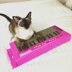 「CAT-IO」のロゴ入りキーボード、爪を研ぎ研ぎ演奏気分に