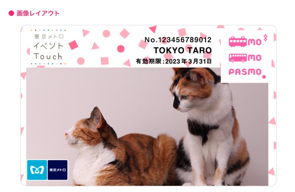 自分で撮った愛猫写真をPASMO化できる「東京メトロイベントTouch」会員証