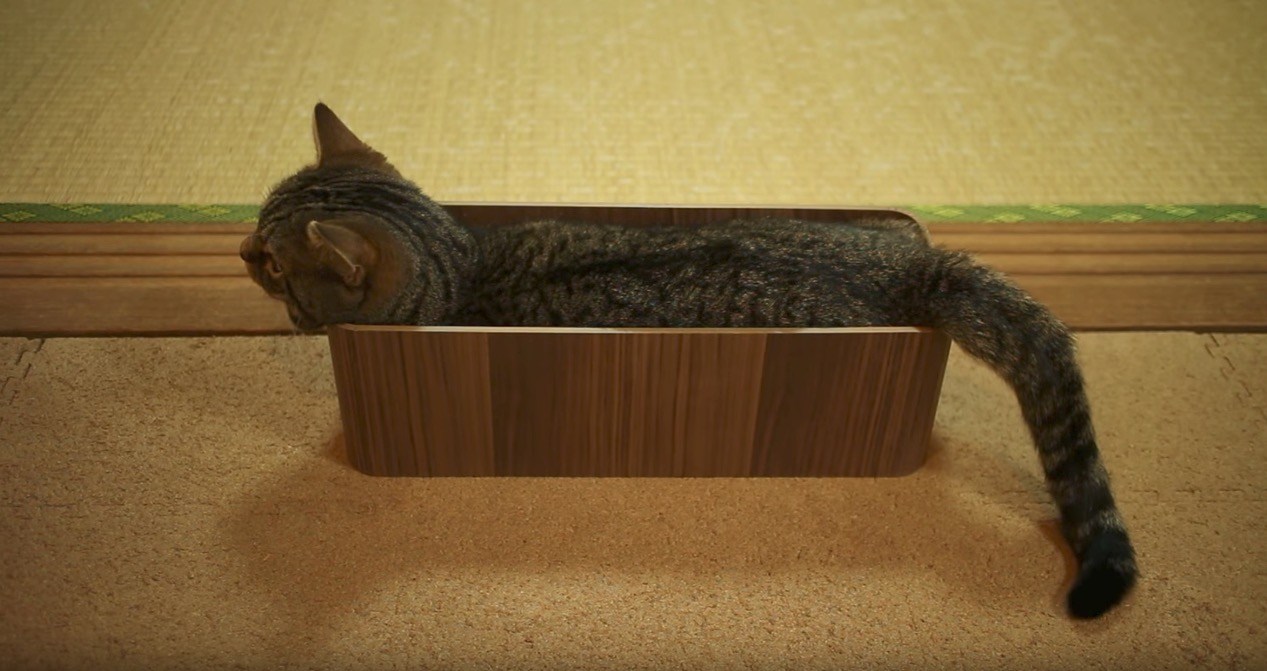 すっぽりハマったドヤ顔の猫、ケーブル収納ボックスの新用途を開発