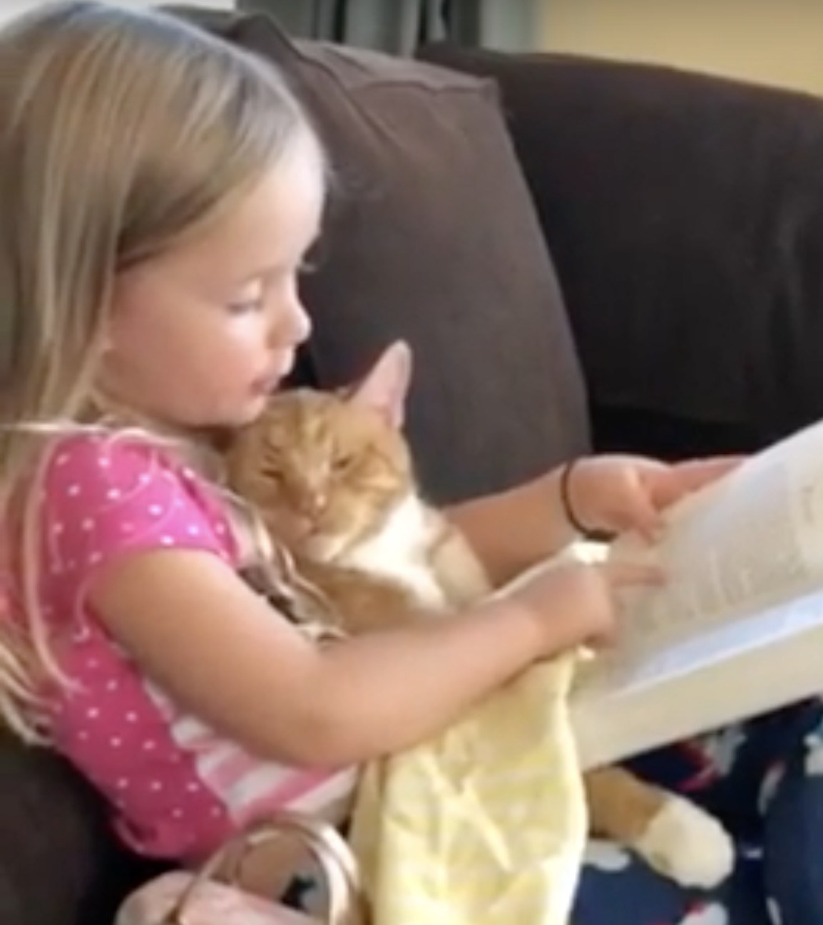 子どもの読書にお供する猫、聞き役に徹して大人の貫禄