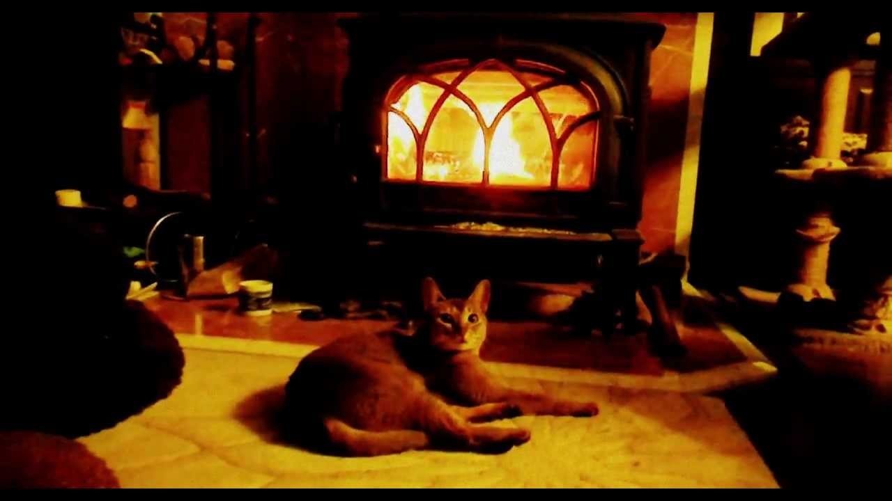 赤々と暖炉の炎に照らされる猫、火力の強さに心配な顔