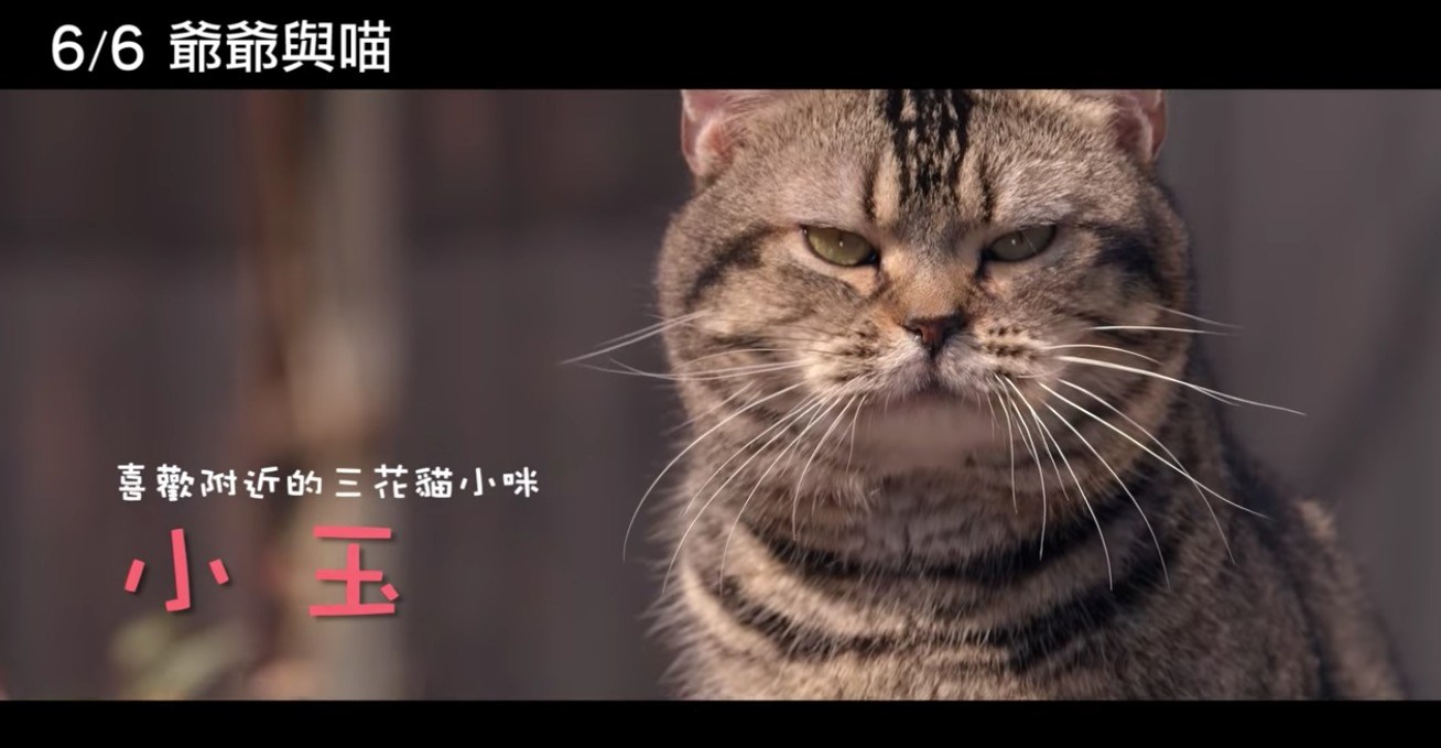 映画『ねことじいちゃん』が台湾で上映、繁体字の題名は『爺爺與喵』