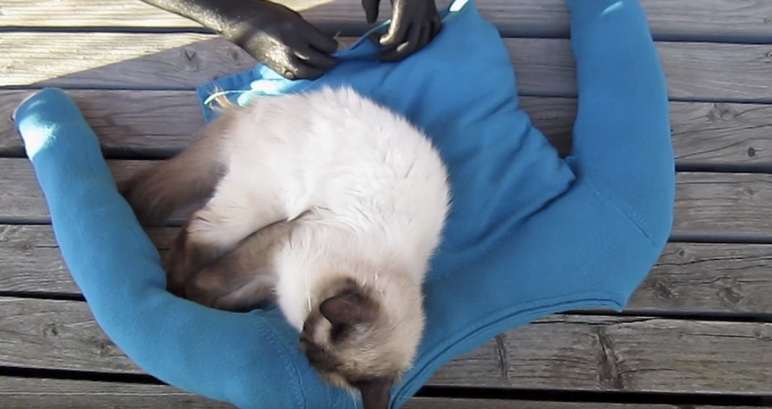 手縫いで作れる古セーターの猫ベッド、制作途中で猫は寝そべる