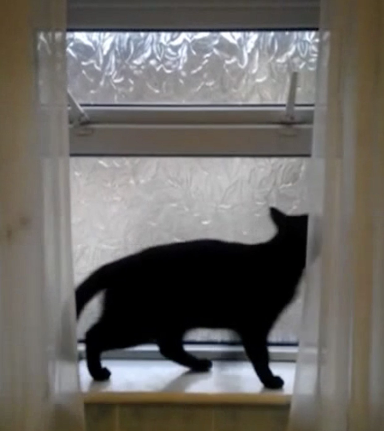 滑り出し窓のロックを2つとも、外して開けて猫は逃亡