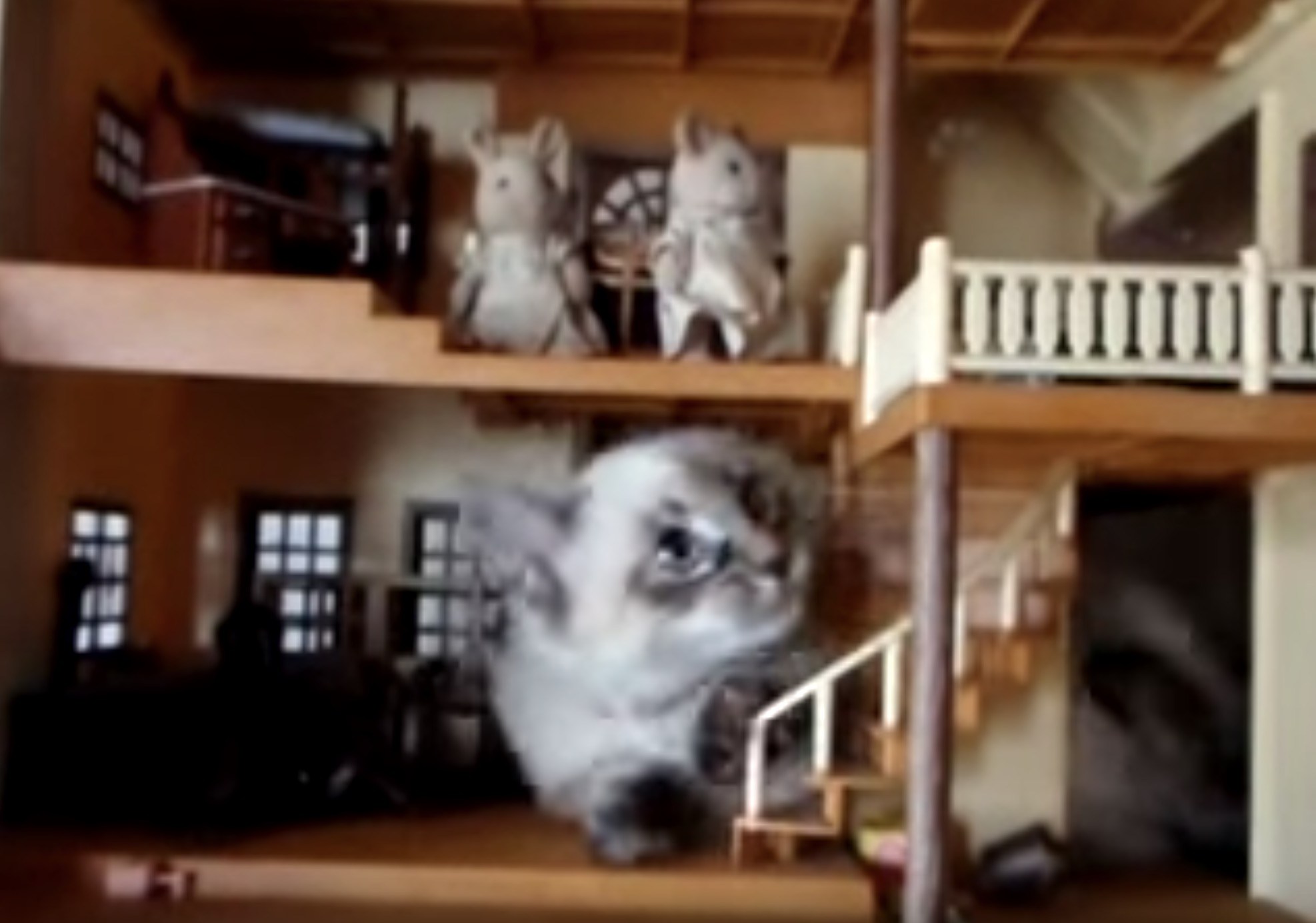シルバニア一家の事務所を襲う猫、床板越しに標的を狙う