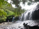 西表自然学校(Iriomote Nature School)