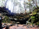 富士山ネイチャーツアーズ(Nature Tours)