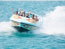 Sea World(シーワールド)