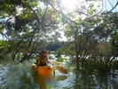 なきじん海辺の自然学校(nakijin umibe-nature school)