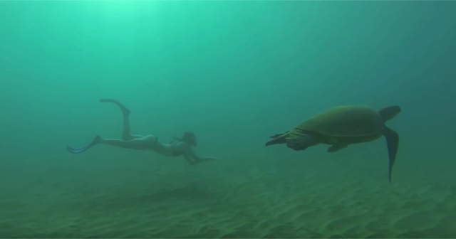 まるで人魚のよう。魅惑の海中を『FreeDiving（フリーダイビング）』！！