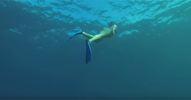 FreeDiving（フリーダイビング）