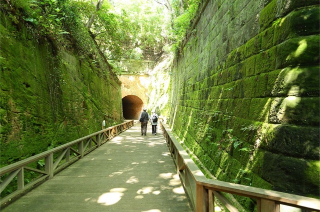 無人島『猿島（さるしま）』を貸切