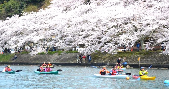 シーズン限定プラン！琵琶湖で『お花見カヤック』で特別な体験を！！