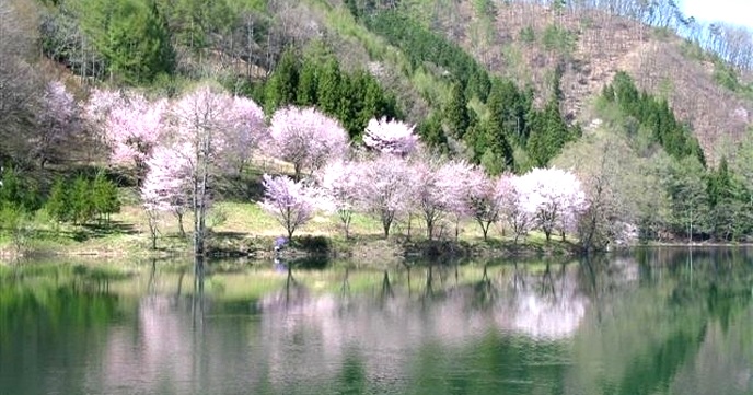 桜の時期が最高！長野北アルプス山麓、ドラマや映画の撮影地をサイクリング。