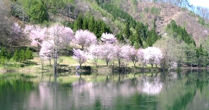 長野 サイクリング