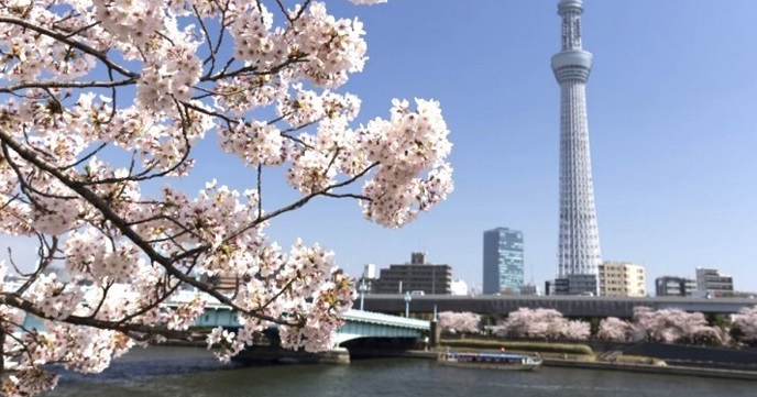 隅田川お花見CHANDONクルーズ