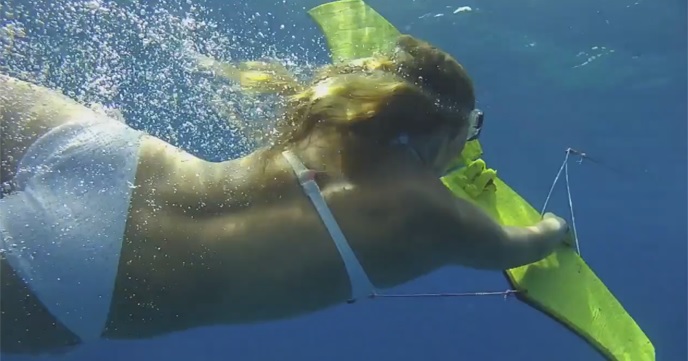 沖縄でサブウイング