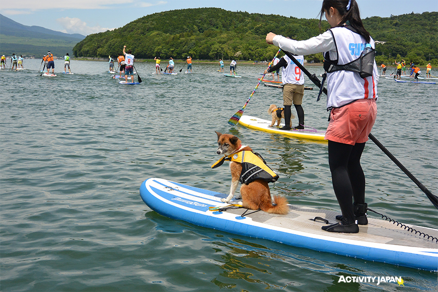 第2回 山中湖SUPerマラソン大会