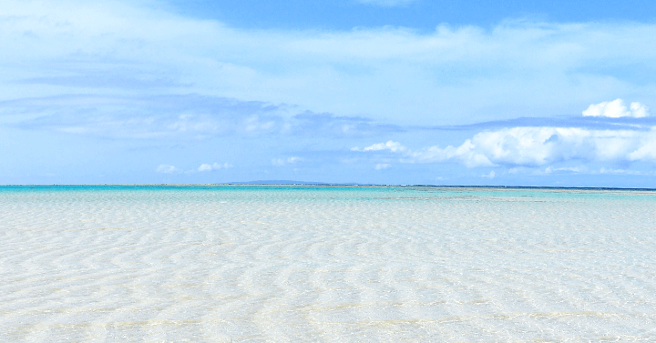 【今こそ絶対いくべき】世界屈指の透明度を誇る幻のビーチ”百合ヶ浜”