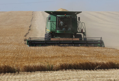 穀物輸出で合意署名式＝ロシア、ウクライナなど４者