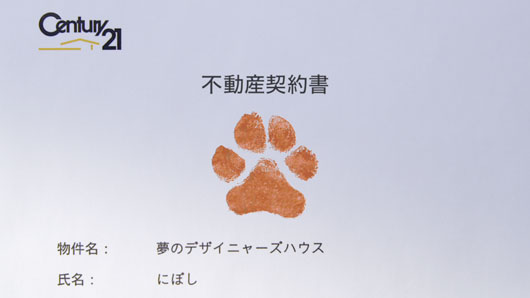 猫専門病院院長が監修した猫のための理想物件「デザイニャーズハウス」プレゼント