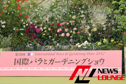 エビちゃん、「バラのタイムトンネル」をランウェイ！兄弟は、「もうちょっとして考えようかな」