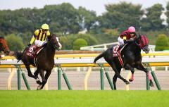 【第66回毎日王冠】 武騎乗エイシンヒカリ、鮮やか逃げ切り勝ち