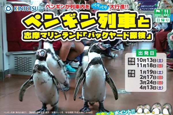 近畿日本鉄道、ペンギンが列車内を歩く「ペンギン列車」運転　ツアー販売中