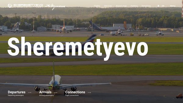 モスクワ・シェレメチェボ国際空港で手荷物処理に遅延　利用者に大きな影響も