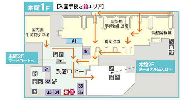 成田国際空港、第3ターミナル拡張部分を9月5日オープン