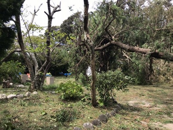 東海汽船や各観光協会、新島・式根島への観光に注意呼びかけ　台風で停電・断水など続く見込み