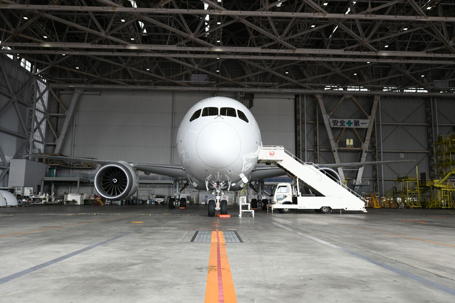 JAL（ボーイング787-8型機、国内線仕様機）