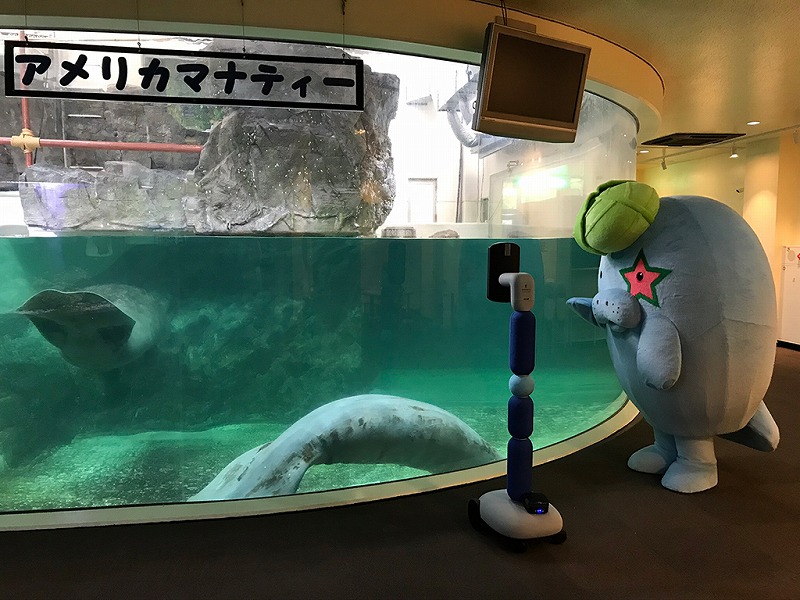 avatarin、新屋島水族館を遠隔で観賞できるツアーを開催　公式キャラクター「マナやん」を応援