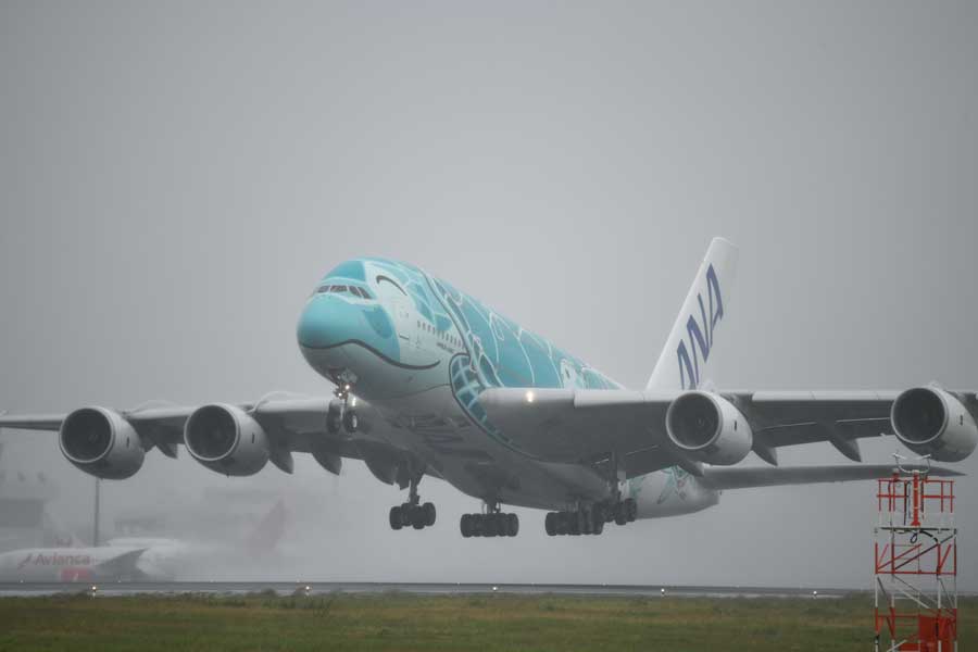 ANAのエアバスA380型機、約3ヶ月ぶりに飛行　約26分間