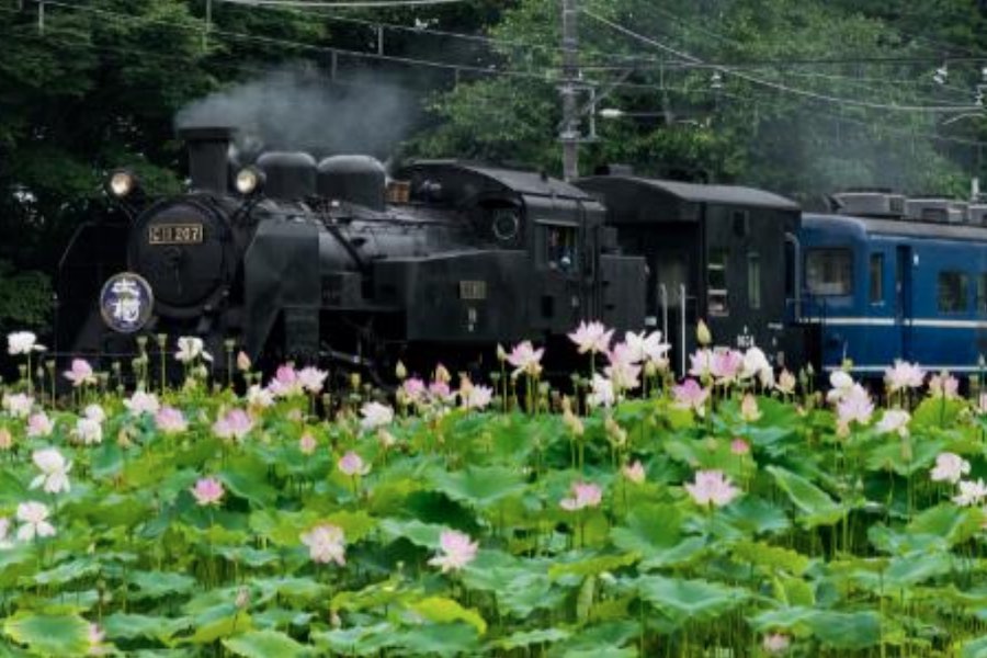 東武、「ズーム」でSL乗車体験イベント　車内スタッフとウェブで交流