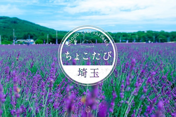 埼玉県物産観光協会、「県民向け夏の埼玉観光モニタープラン」を販売