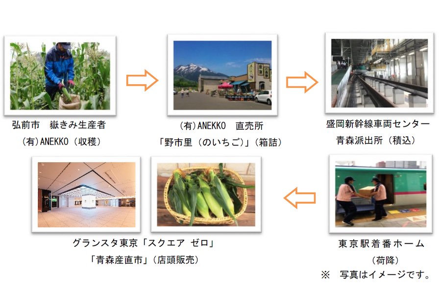 新幹線で青森産トウモロコシ輸送　収穫当日に東京駅で販売