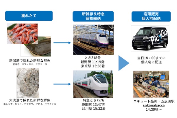 JR東日本、鮮魚輸送「新幹鮮魚」さらに拡大　水揚げ当日に自宅配送も