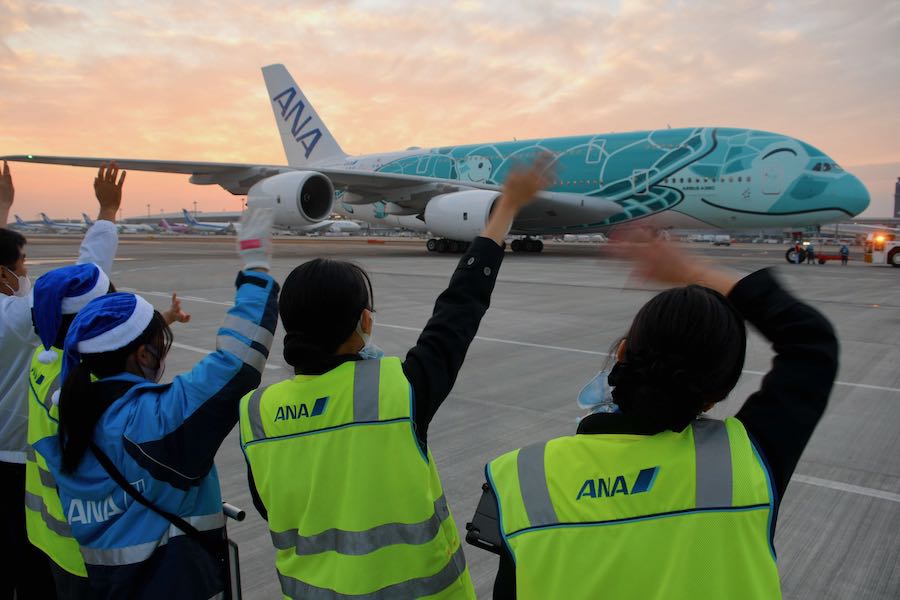 ANA、A380「フライングホヌ」でクリスマスフライト　上空から夜景鑑賞