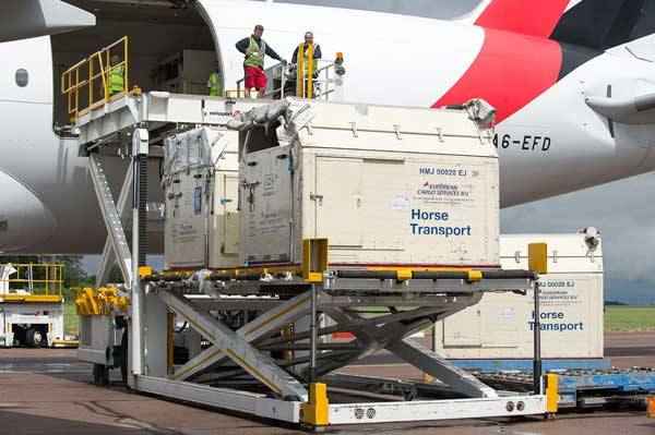 リオ五輪会場へ、馬術競技用の馬が空輸　エミレーツ・スカイカーゴの特別機で9回に分けて輸送