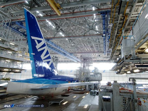 ANA、海外ツアーでタイムセール　メキシコ5日間5.4万円から